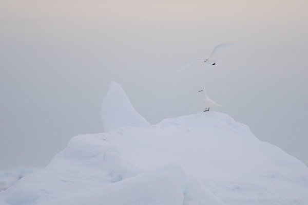 (c)Marcel Bihr    fotonova.ch